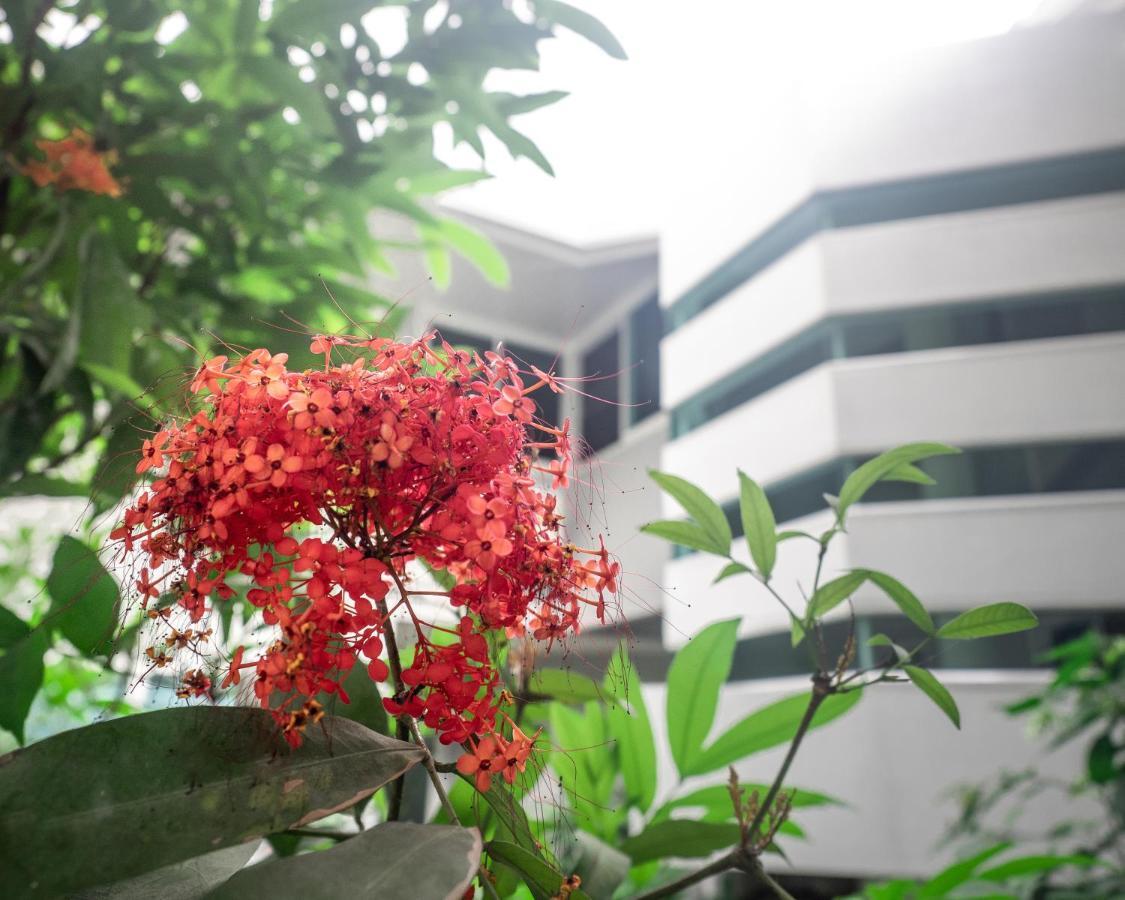 清邁 休憩旅馆旅舍 外观 照片